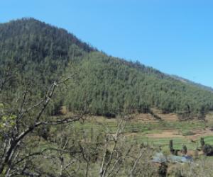 Bagsaid Vallery View, Thunag, Mandi Himachal Pradesh